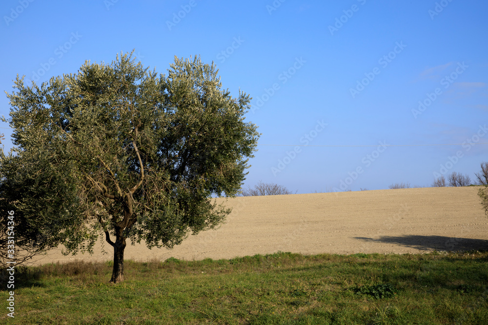 Ancona, Italy - January 1, 2019: The hills behind Mezzavalle beach, Riviera del Conero, Adriatic Sea, Ancona, Marche, Italy Ancona, Italy - January 1, 2019: The hills behind Mezzavalle beach, Riviera del Conero, Adriatic Sea, Ancona, Marche, Italy