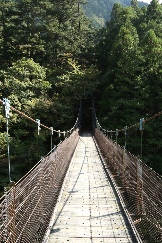 Okutama Mukashi Michi Hike - Japan