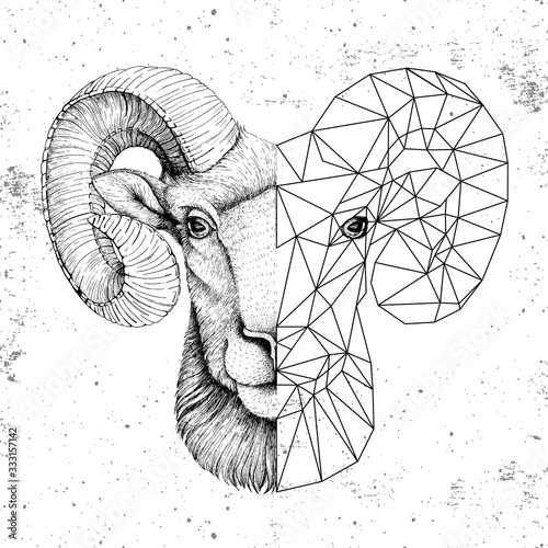 Hipster animal realistic and polygonal ram or mouflon face on grunge background. Astrology zodiac sign Aries