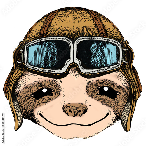 Sloth portrait. Face of cute animal. Vintage aviator helmet with googles. photo