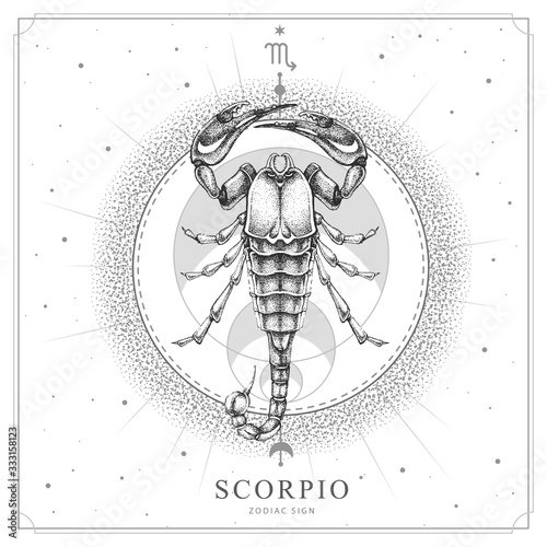 Modern magic witchcraft card with astrology Scorpio zodiac sign. Realistic hand drawing scorpion illustration