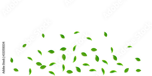 Falling green leaves. Fresh tea random leaves flyi