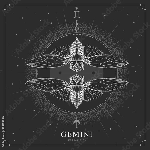 Modern magic witchcraft card with astrology Gemini zodiac sign. Realistic hand drawing butterfly or cicada illustration
