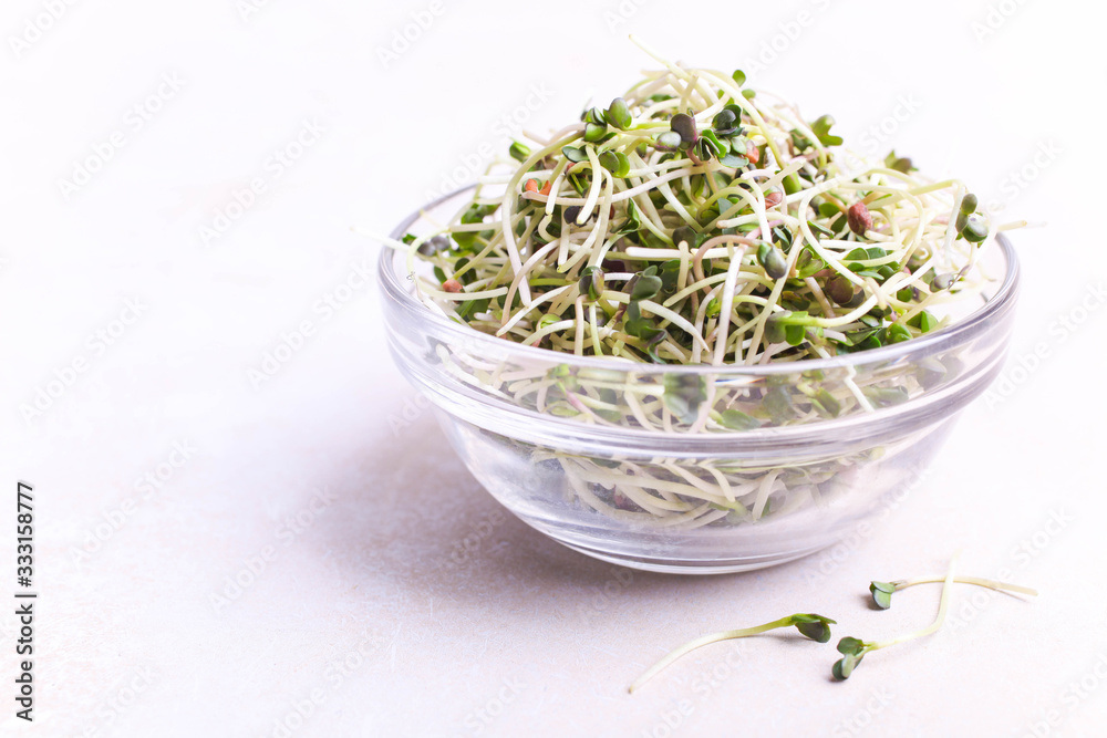 Radish microgreen in a glass bowl Radish microgreen in a glass bowl