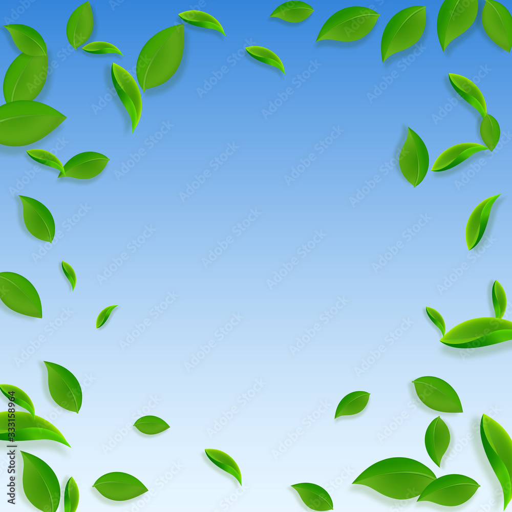 Falling green leaves. Fresh tea chaotic leaves fly Falling green leaves. Fresh tea chaotic leaves fly