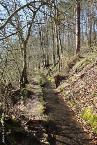 hiking on "Spessartbogen" Trail in early spring