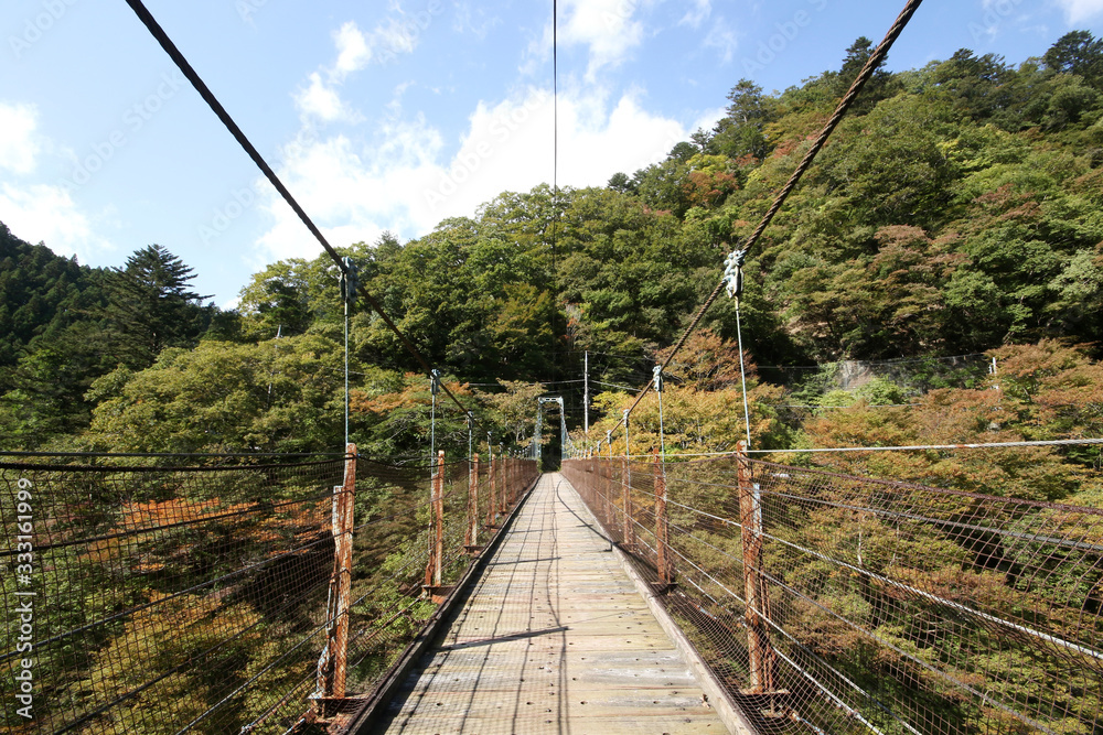 Fototapeta premium Okutama Mukashi Michi Hike - Japan