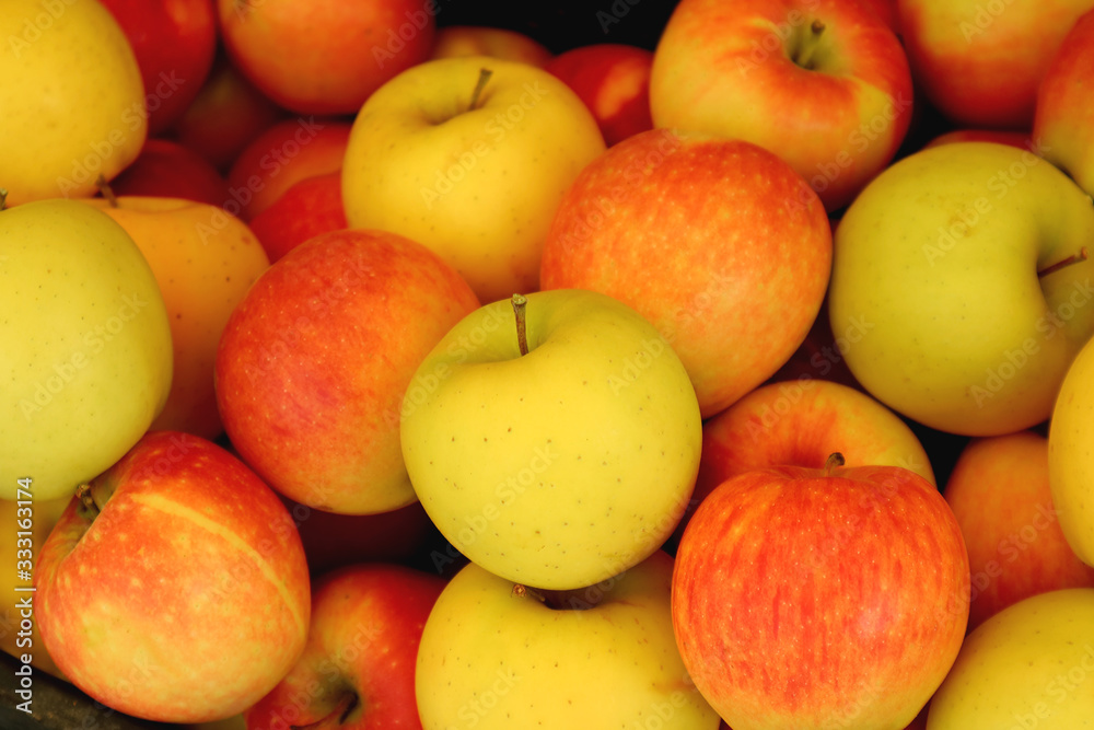 Pile of fresh ripe red and yellow apples