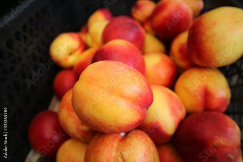 Closeup Fresh Organic Nectarine Fruits For Sale at the Market
