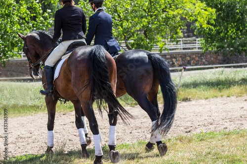 Two riders in saddle, horses walk on training field, rear view