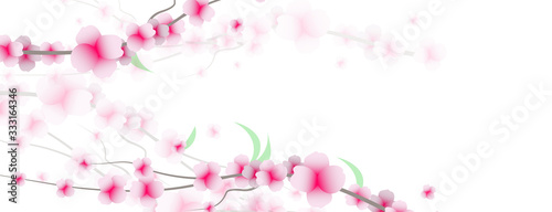 primavera, fiori, sakura, ciliegi,