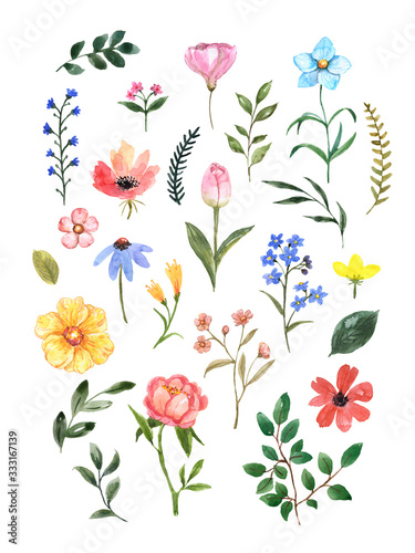 Fototapeta Naklejka Na Ścianę i Meble -  Watercolor wild flowers set. Hand painted pink flowers, greenery foliage and leaves, isolated on white background. Floral design elements