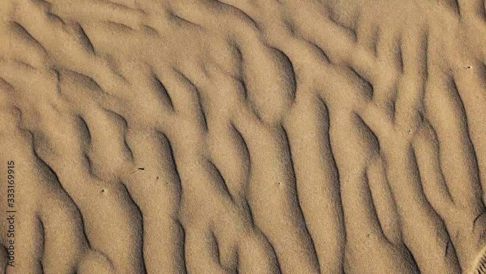 Beach sand background