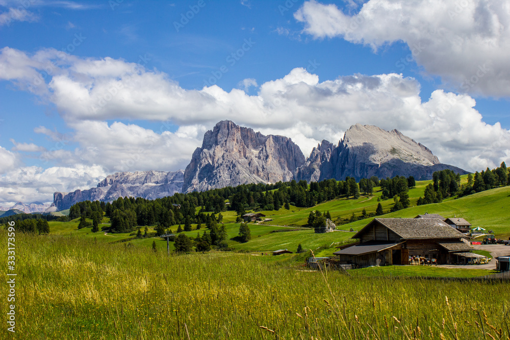 Compatsch (Compaccio) Houses with Langkofel and Sella Group Mountains in the Background