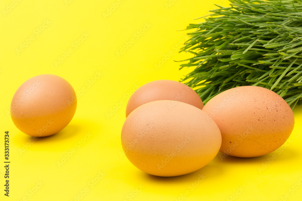 Brown eggs on green grass, isolated on yellow background.