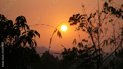Sunset over the tropical landscape in Cát Tiên National Park, Vietnam. photo