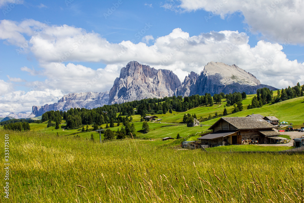 View of Alpe di Siusi with Gruppo del Sassolungo Mountains in the Background