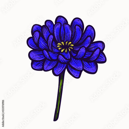 blue spring flowers hand drawn isolated colorful vector clipart. plant blooming flower elements for graphic design and your creative projects, posters, postcards, invitations and tattoos.