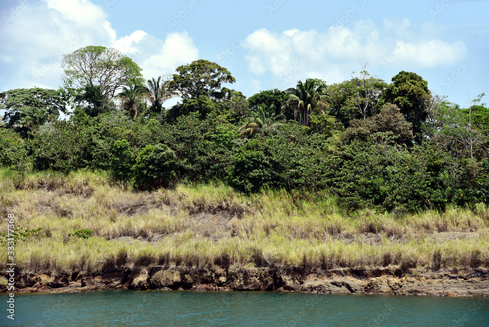 Green landscape of Panama Canal, view from the transiting cargo ship. Green landscape of Panama Canal, view from the transiting cargo ship.