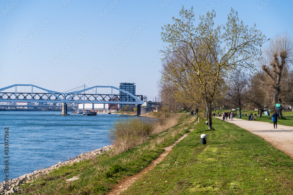 The forest park in Mannheim located directly on the Rhine during the corona isolation with few walkers on 25.03.2020