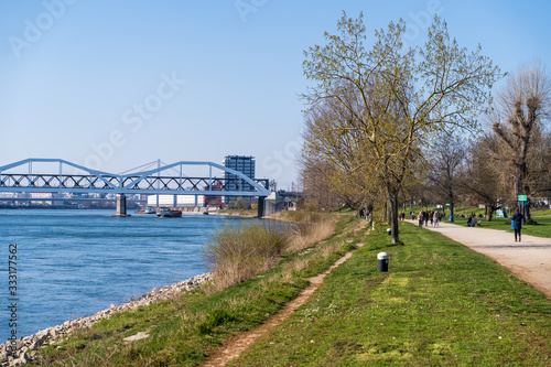 The forest park in Mannheim located directly on the Rhine during the corona isolation with few walkers on 25.03.2020