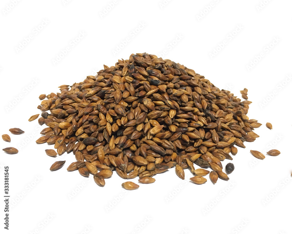 Roasted barley grain tea on white background infusion made from barley which is a staple across East Asian