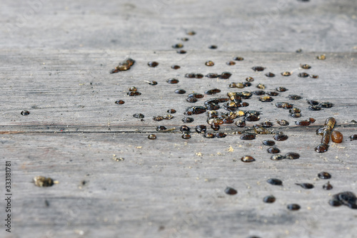 Stains from the rubber of the falling mangoes fell to the wood floor.