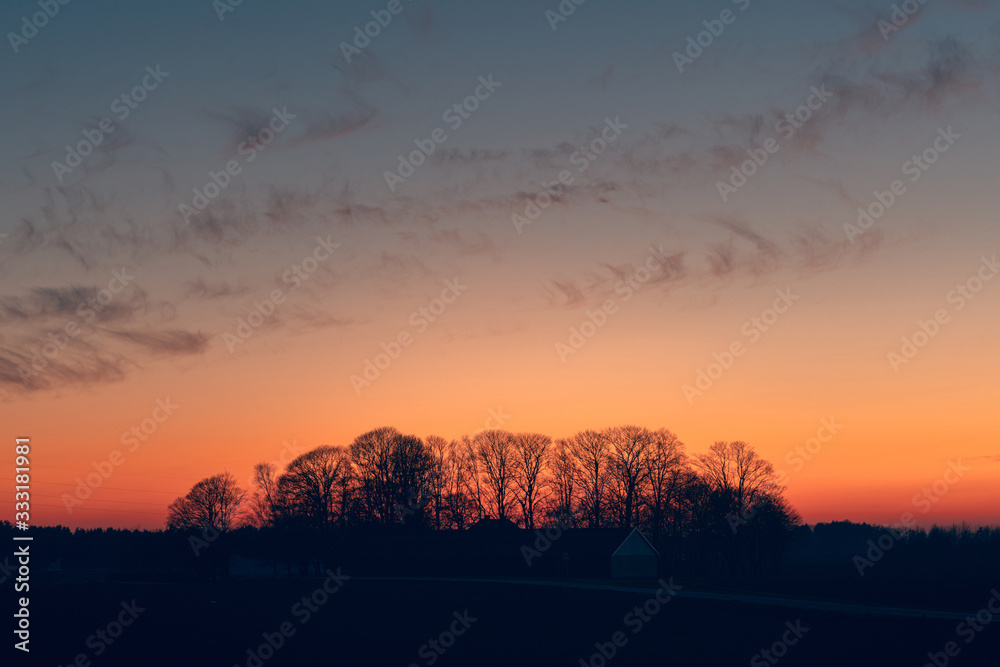 Fototapeta premium Sunset over a farmland with tree silhouettes