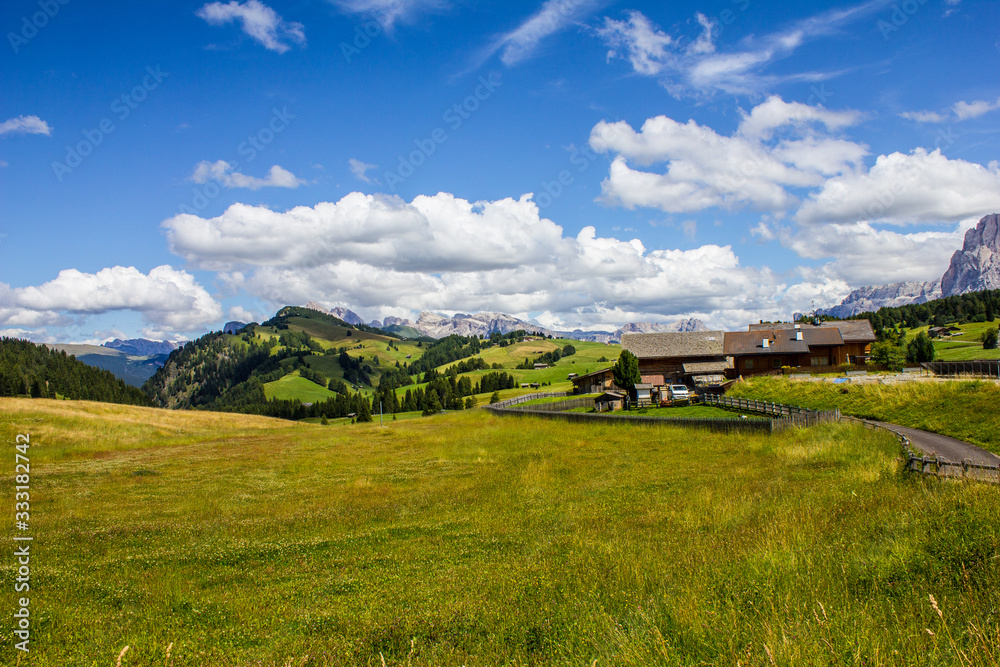 Seiser Alm Plateau in the Dolomites on a Summer Day