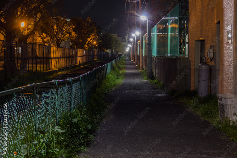 街灯のある深夜の細長い市街地の道