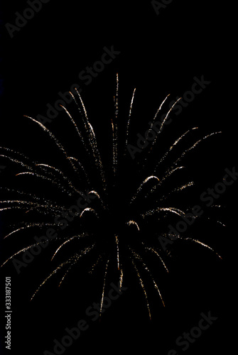 Colorful fireworks on the black sky background.