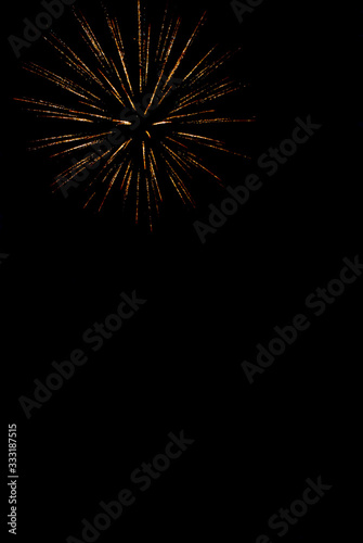 Colorful fireworks on the black sky background.