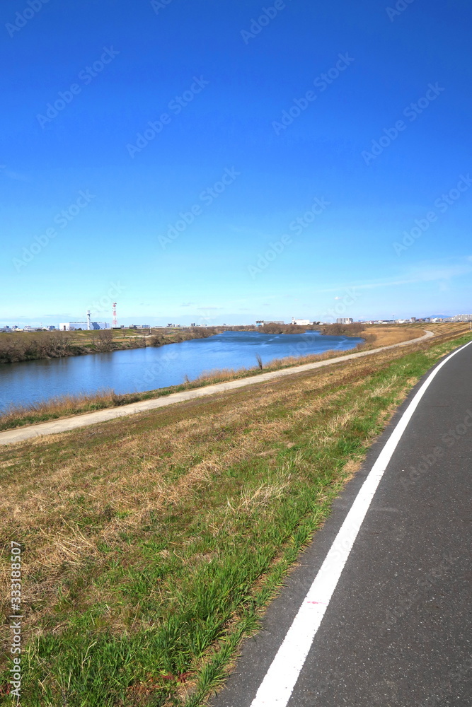 Fototapeta premium 早春の江戸川河川敷とサイクリングロード風景風景