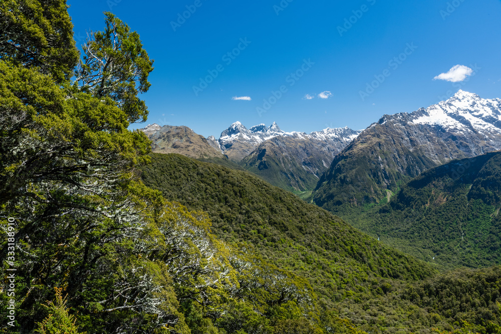 mountain landscape in the southern alps of new zealand