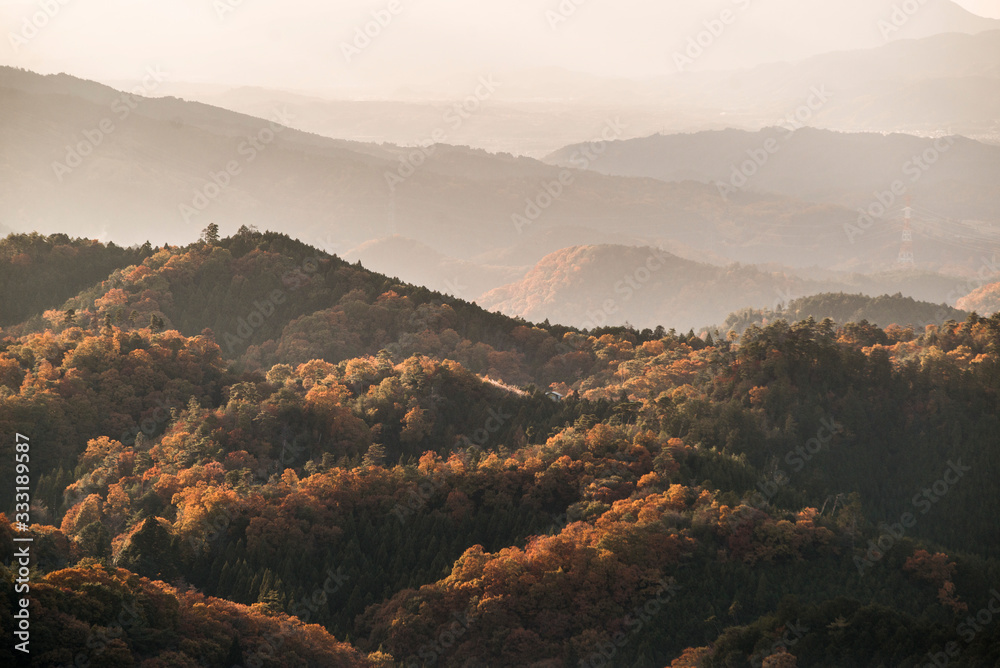 Obraz premium Autumn in the mountains of Japan