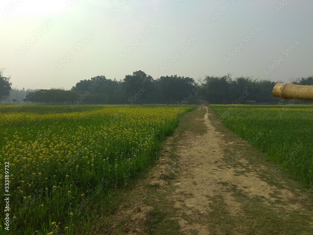 Fototapeta premium Indian village