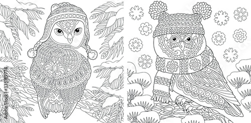 Coloring pages. Cute owls in winter hats. 