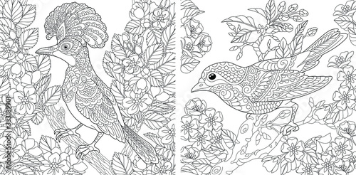 Coloring pages. Beautiful birds in the spring garden. 