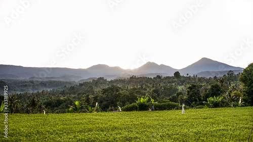 Beautiful views of rice fields and mountains at sunrise