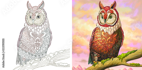 Owl bird. Colorless and color sample painted in watercolor imitating style. 