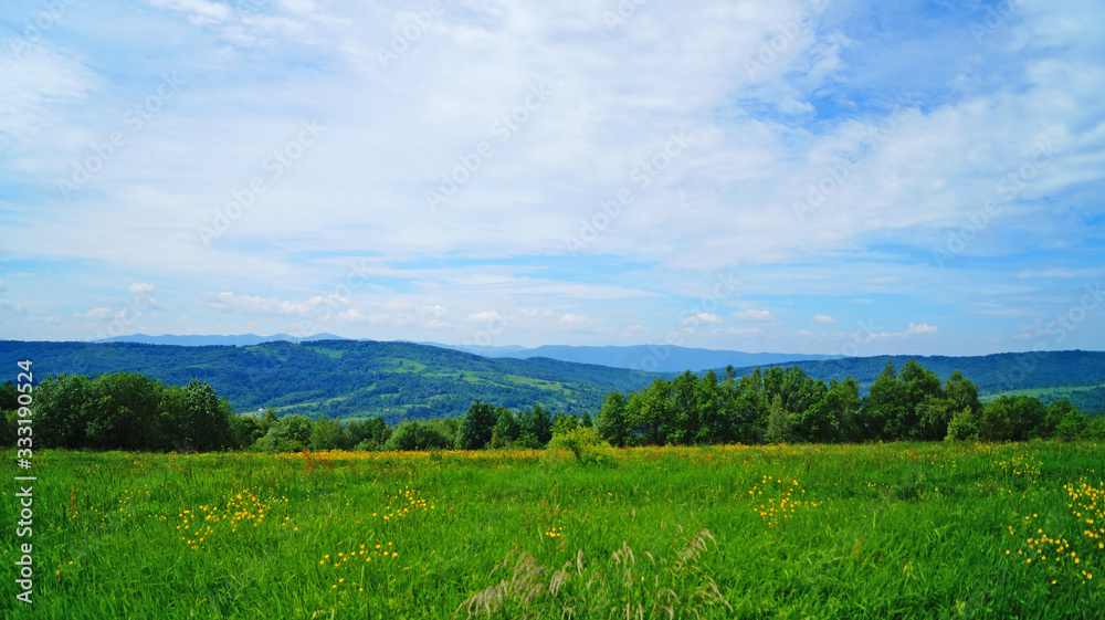 Panoramic view of the Carpathian mountains covered by a green forest under a blue sky and white clouds