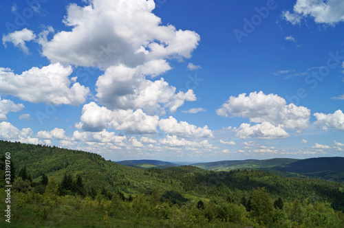 Panoramic view of the Carpathian mountains covered by a green forest under a blue sky and white clouds