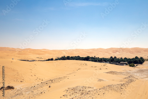 Oase in der Wüste in den Vereinten arabischen Emirate.