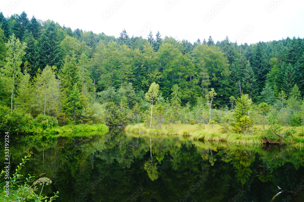 Mountain lake with cold dark water surrounded by green forest under a blue sky on a sunny day Mountain lake with cold dark water surrounded by green forest under a blue sky on a sunny day