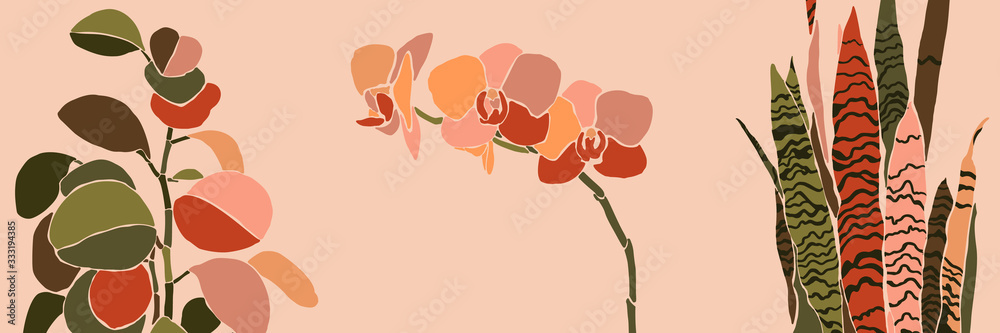 Fototapeta Art collage houseplant leaves and flowers in a minimal style. Silhouette of orchid, sansevieria and peperomia. Vector