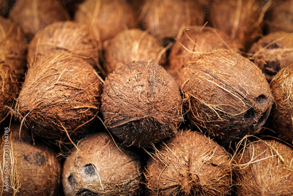 Fototapeta premium heap of ripe coconut