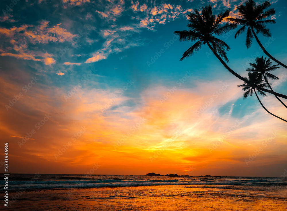 palms and hot tropical sunset - obrazy, fototapety, plakaty 
