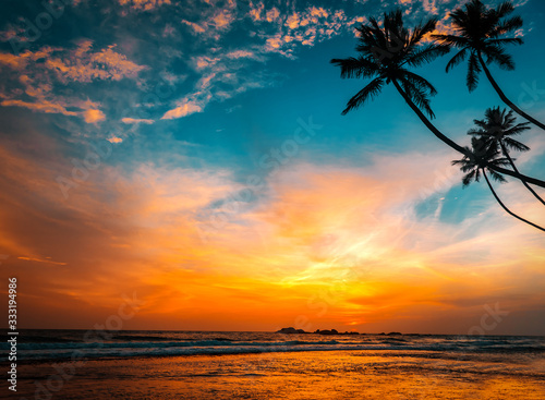 Fototapeta Naklejka Na Ścianę i Meble -  palms and hot tropical sunset