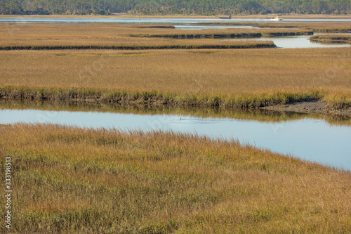  View of a salt marsh along the intracoastal waterway in Florida.