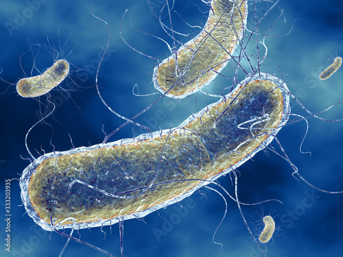 Escherichia coli bacteria (E. coli). Medically accurate 3D illustration photo